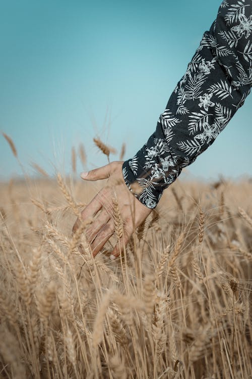 Základová fotografie zdarma na téma detail, dotýkání, hřiště