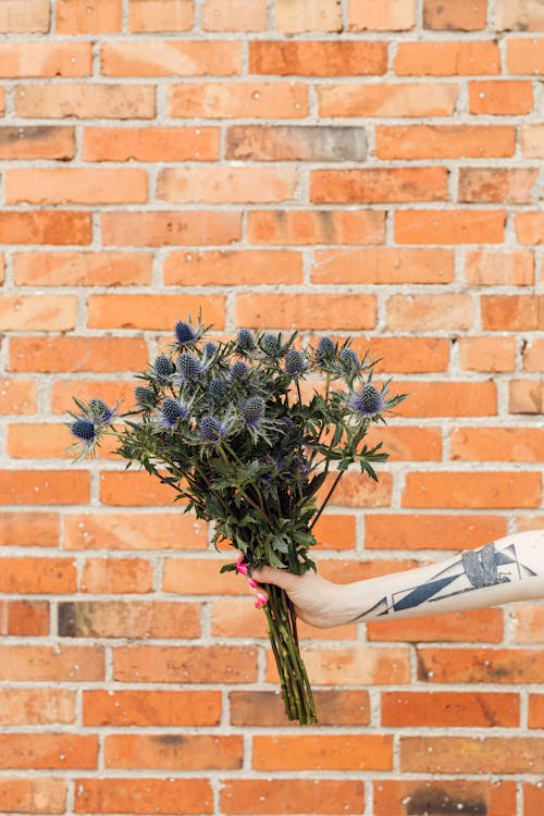 Free Hand Holding Bouquet Stock Photo