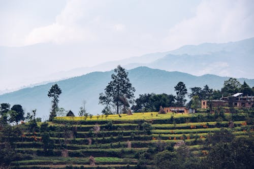 尼泊爾, 山丘, 景觀 的 免费素材图片