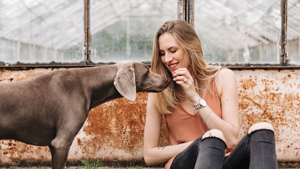 A woman sits against a rustic wall, enjoying a moment with her Weimaraner dog.