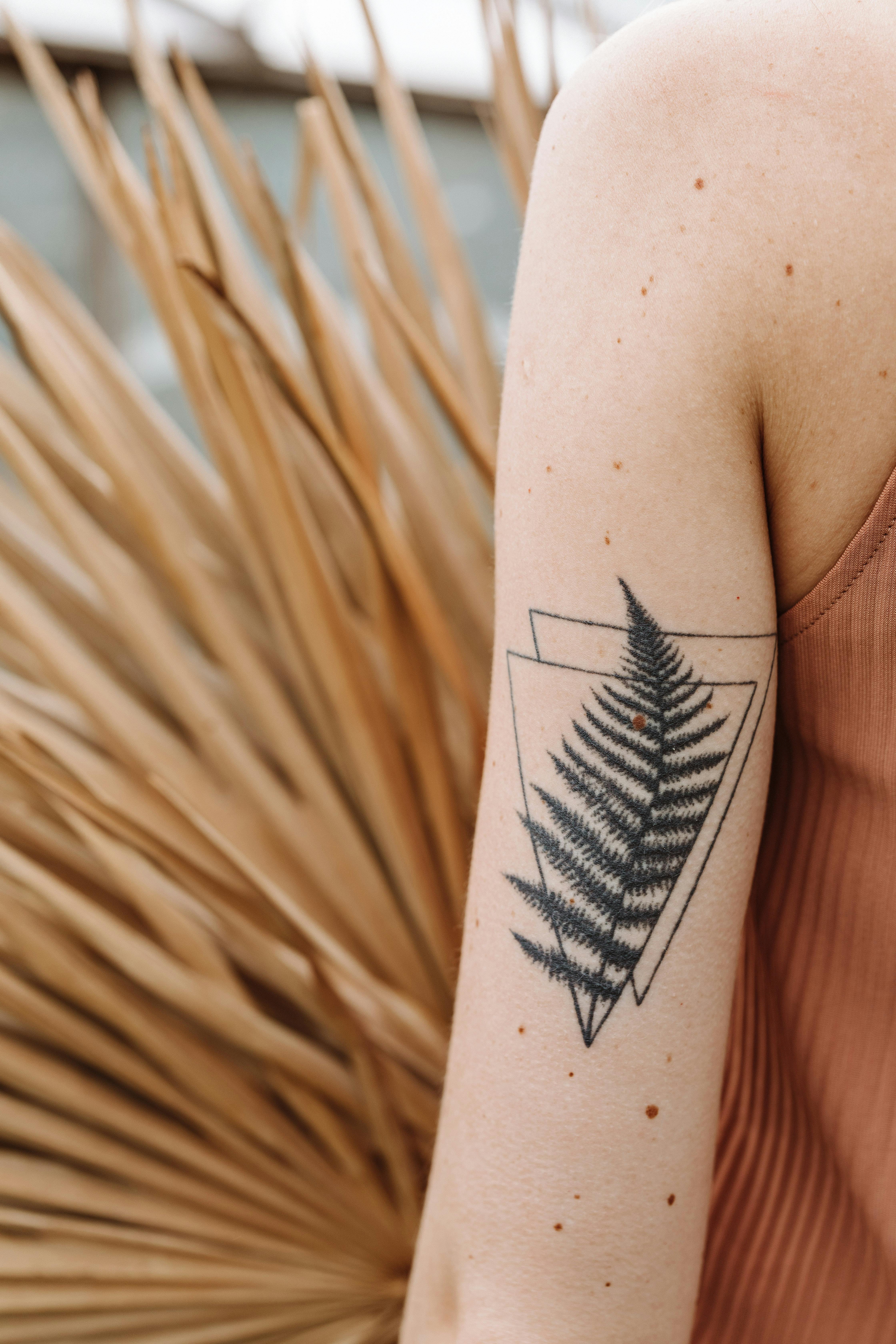Sunset Tattoo  New Zealand Silver Fern done by Tristan Dead Meat