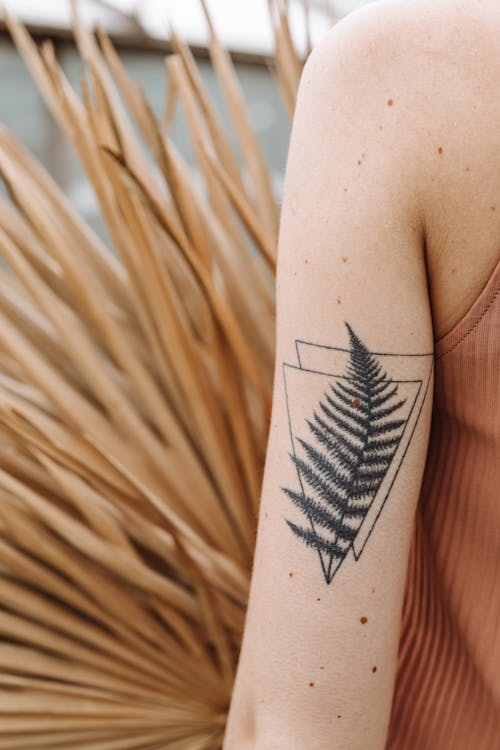 Fern Leaf Tattoo on an Arm