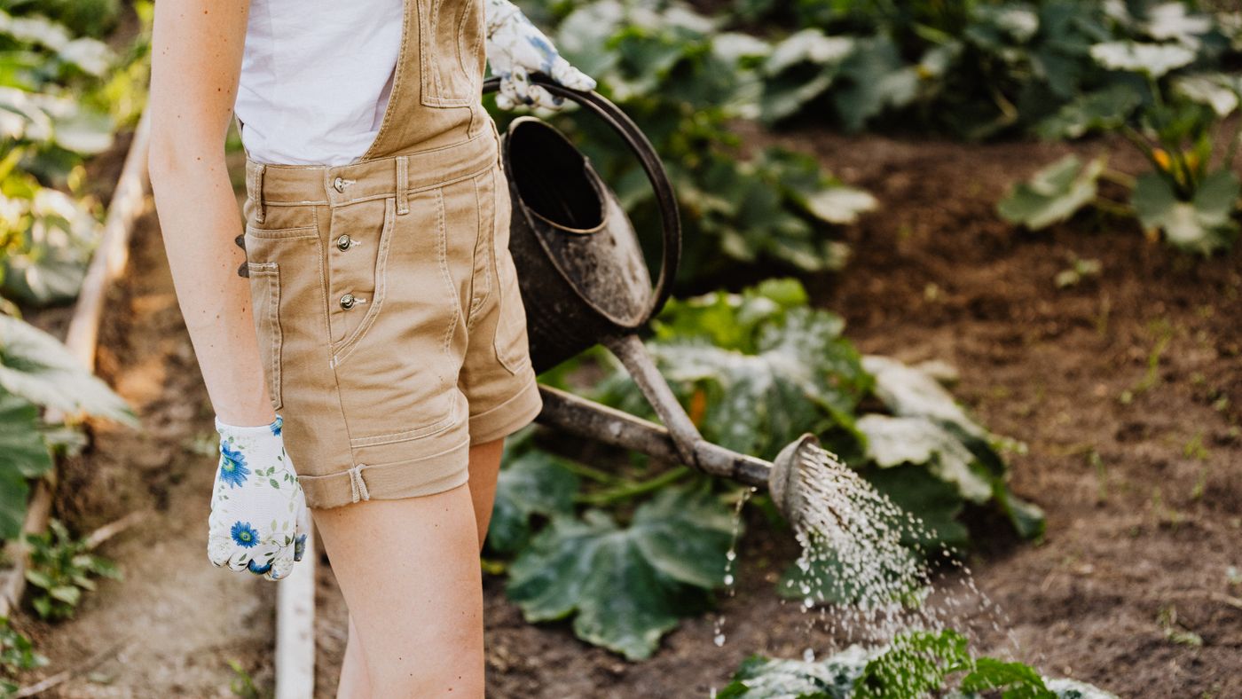 Why Gardening Gloves Matter More Than You Think (and How to Pick a Pair)