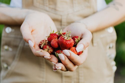 Person Holding Strawberries in Close Up Photography