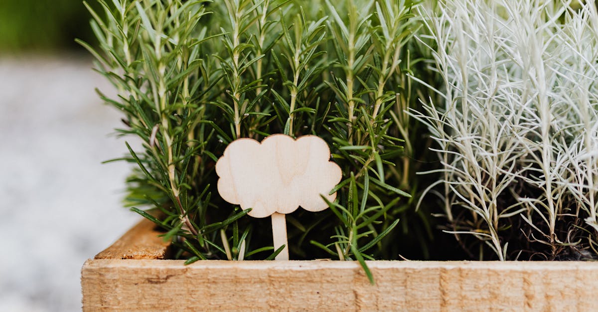 DIY Écologique : fabriquer son propre composteur