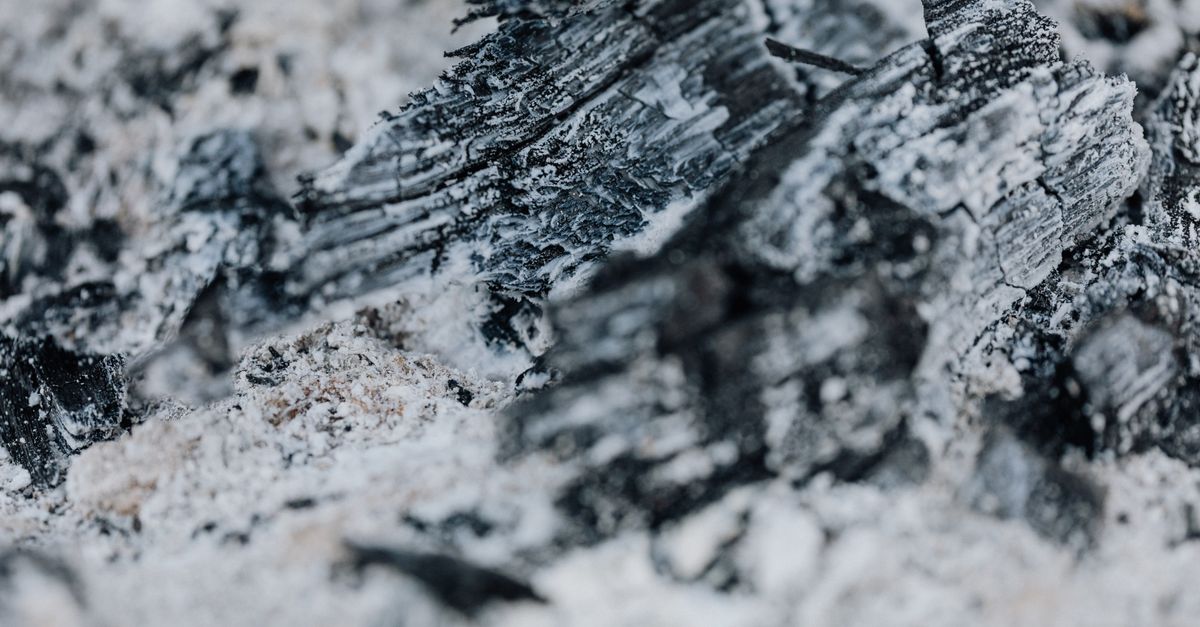 Carbon survey