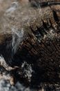 Smoke Coming From Burned Wood