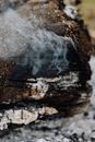 Close-Up Shot of a Burned Wood