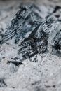 Burned Wood Covered with White Ashes