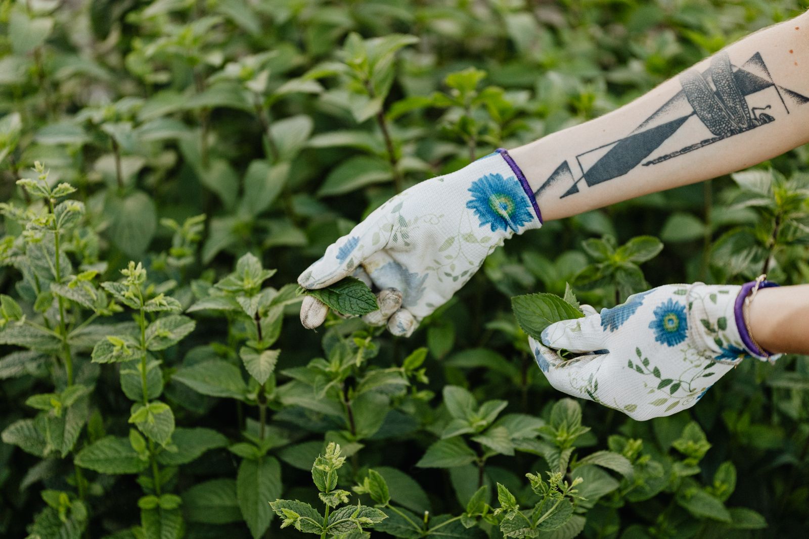 Everyday Garden Grip Gloves in use