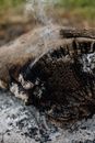 Smoke From Burned Tree Log