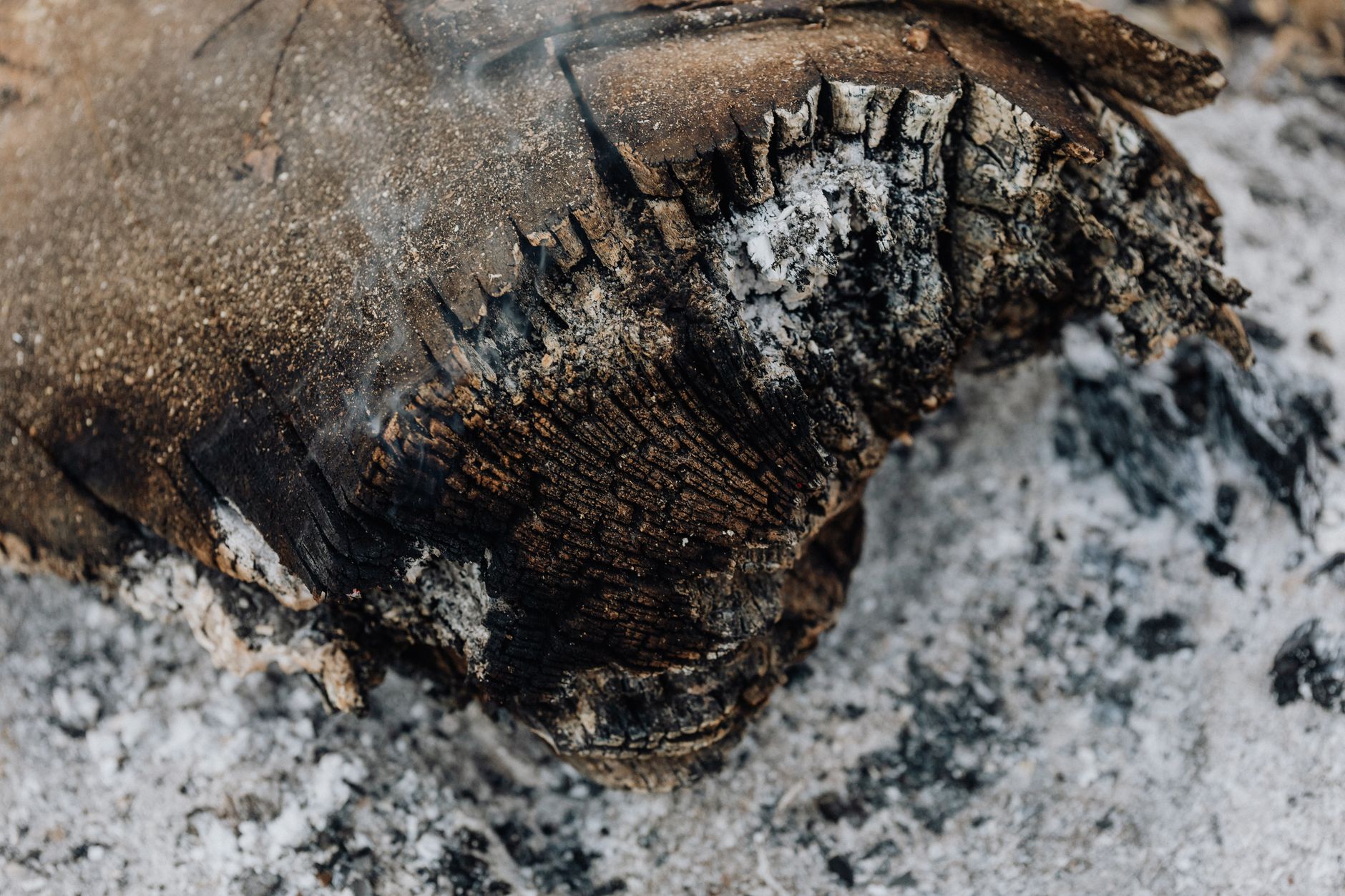 Fossilized ash ancient campfire — Curiosidades