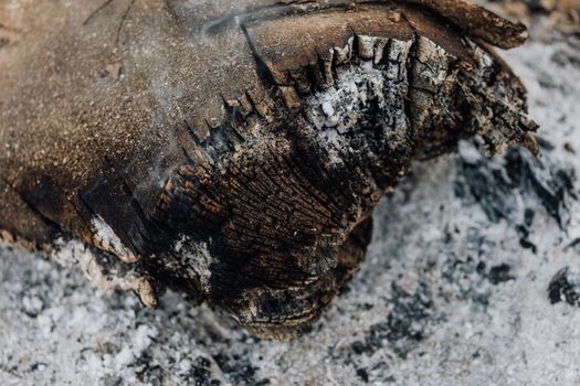wood ash lye