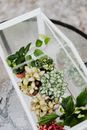 Green Plant on Orange Plastic Container