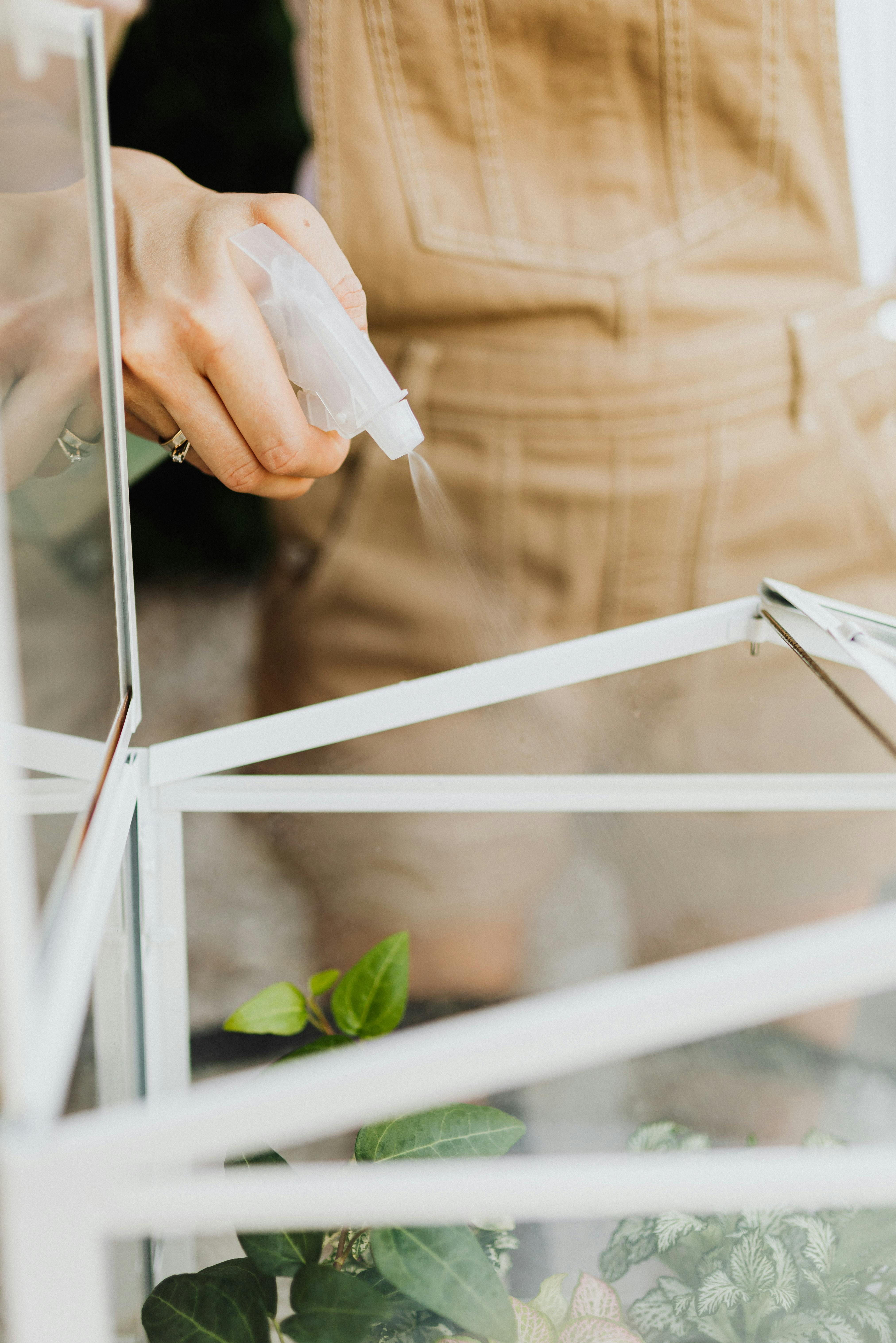 A woman gently watering indoor plants with a spray bottle, emphasizing home gardening and plant care.