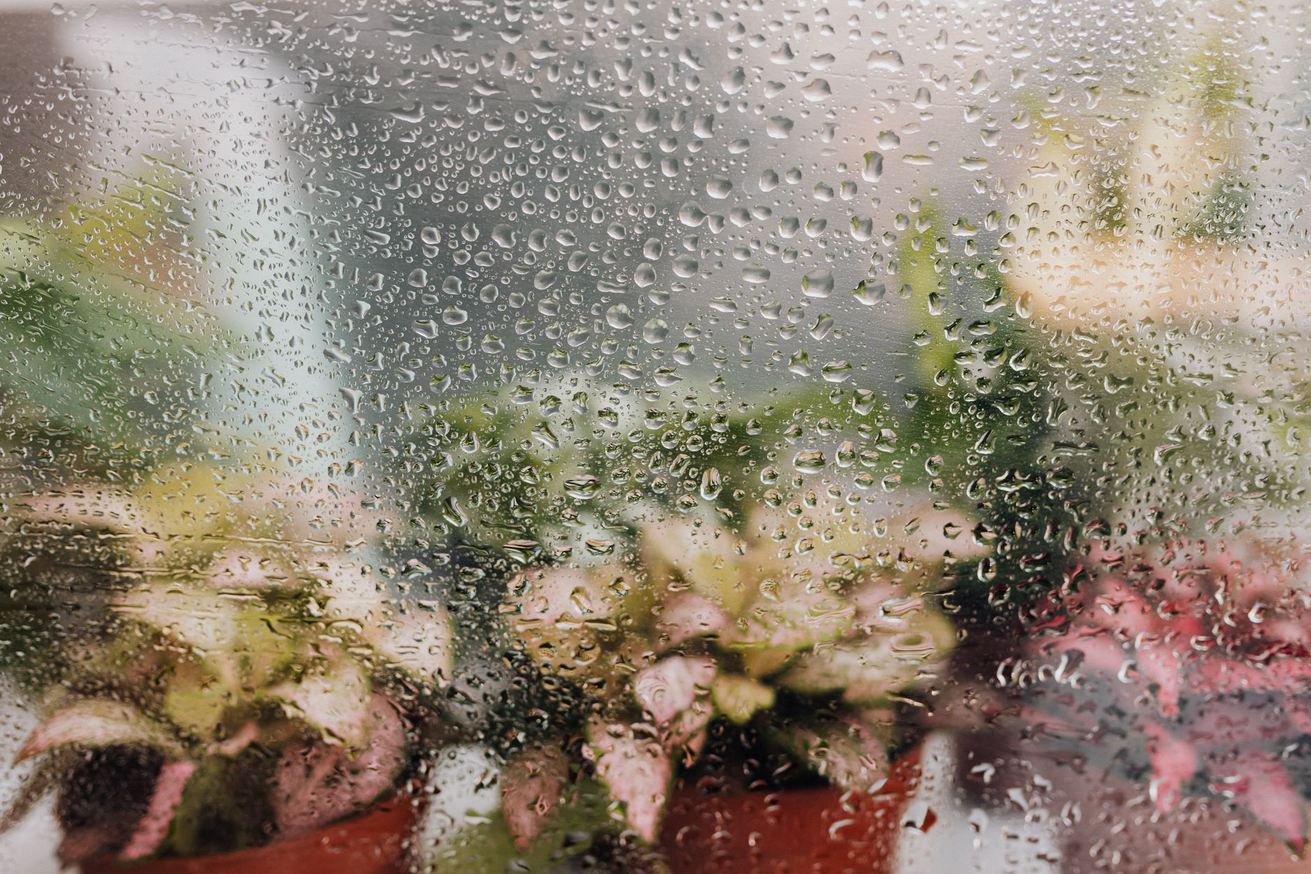 Why windows stick in North Texas summers (swollen frames, house settling) and the fixes that actually last 1 Dew on a window in humid weather