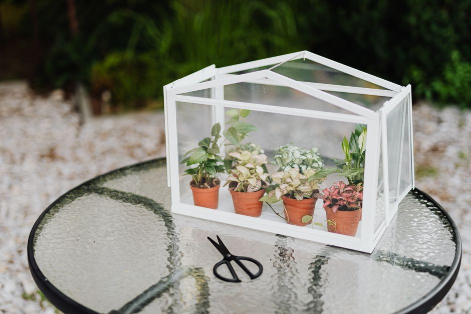 Handgemaakte keukenserre met verse kruidenplanten. Handgemaakte keukenserre met verse kruidenplanten.
