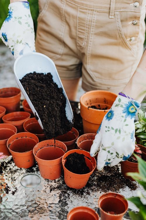 Free Close-up of soil being placed in clay pots with floral gloves, ideal for gardening themes. Stock Photo