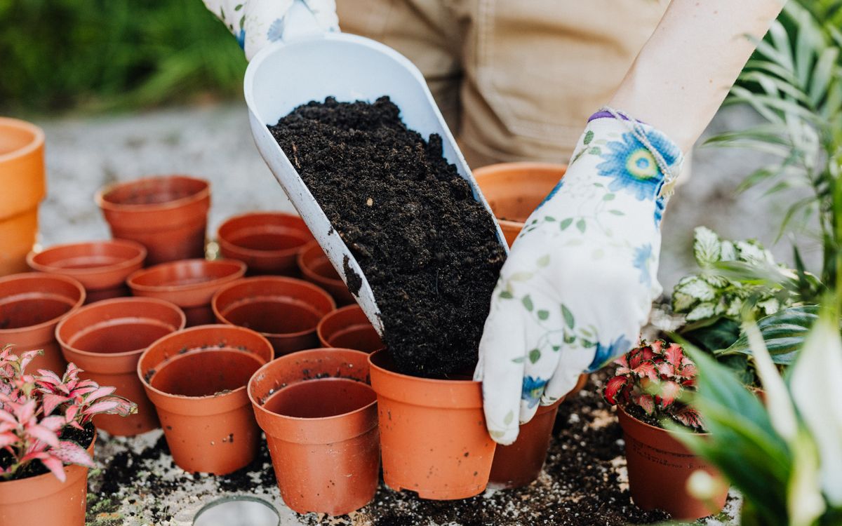 A person wearing gloves fills terracotta pots with soil for planting outdoors.