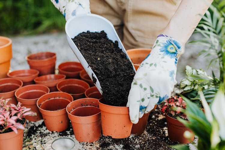 Person Wearing Floral Gardening Gloves Putting Soil In Brown Pot 