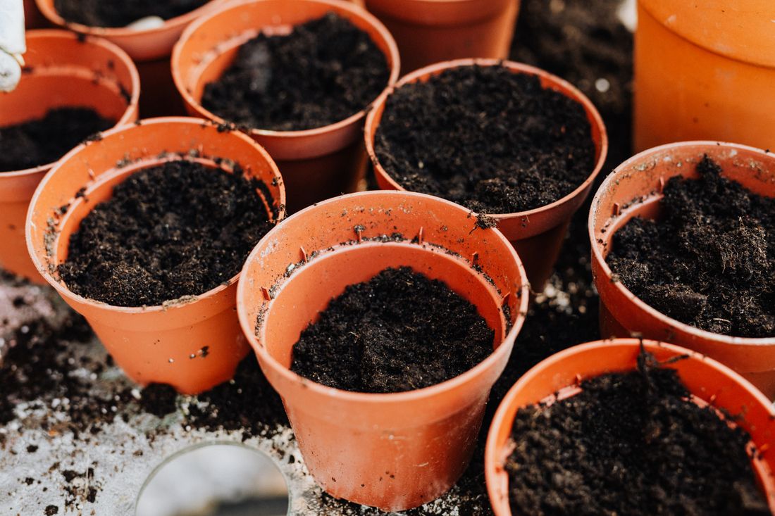 Bloempotten gevuld met potgrond