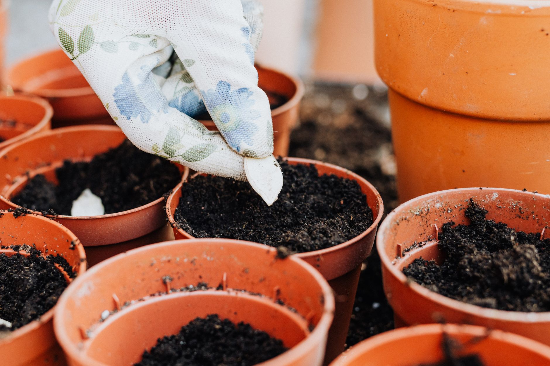 person adding crushed eggshells or lime to small container garden soil