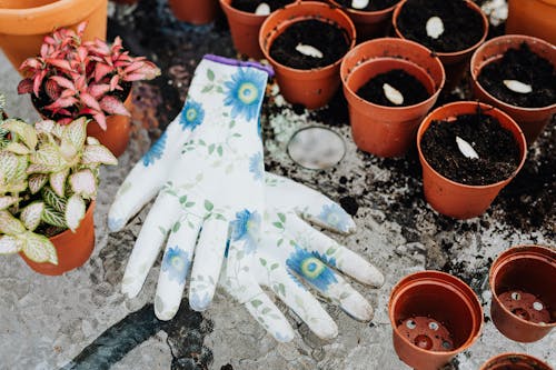 Seeds on Pots Beside a Floral Gardening Gloves 