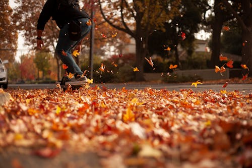 Kostnadsfri bild av denimjeans, falla, fallna löv