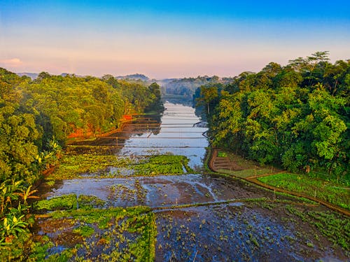 印尼, 土, 景觀 的 免费素材图片