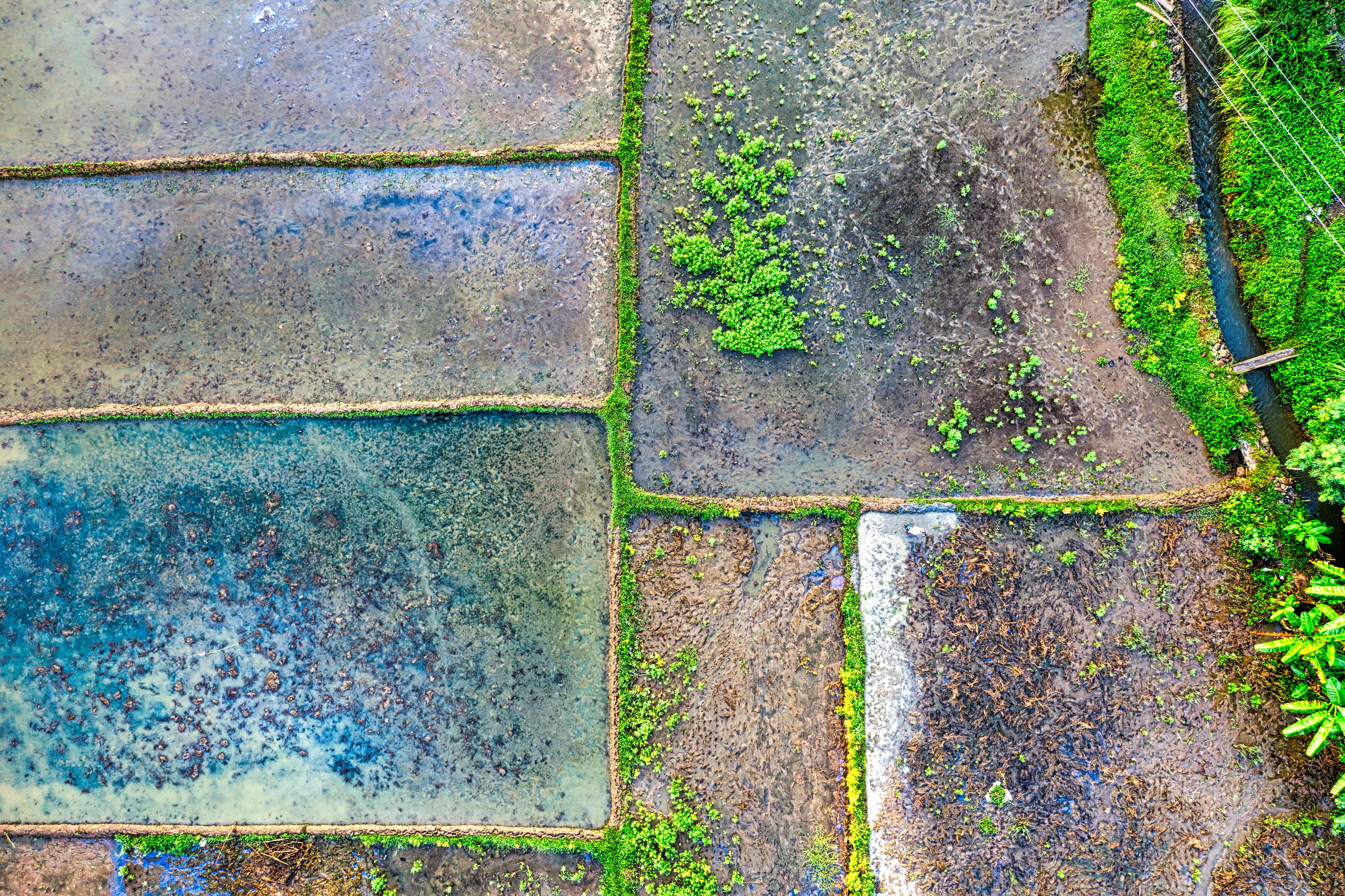 climate resilience ecosystem restoration — Photo by Tom Fisk on Pexels