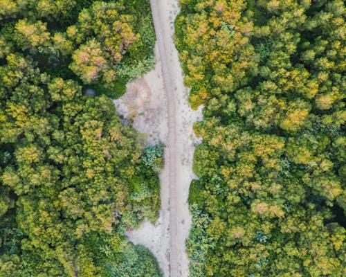 Бесплатное стоковое фото с Аэрофотосъемка, ведущий через, вид сверху