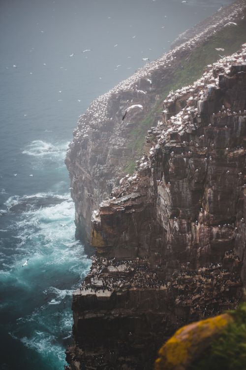 Free Picturesque view of bristly cliff near rippled sea with fast water flow under flying birds in daylight Stock Photo