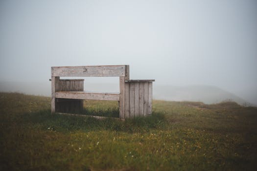 雾蒙蒙的山上，日光下的绿色草坪旁，有一张古老的木凳
