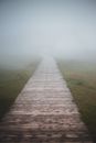 Perspective view of landscape of wooden pathway leading to deep fog surrounded by green grass