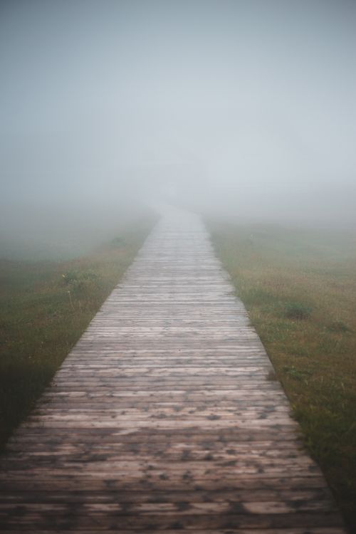 Free Perspective view of landscape of wooden pathway leading to deep fog surrounded by green grass Stock Photo