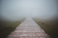 Wooden pathway going through green field