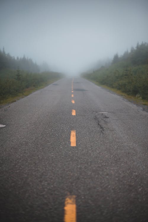 Perspective view of empty asphalt road going through green forest in countryside in foggy day