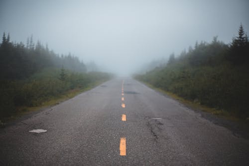 Empty asphalt roadway with yellow intermittent markings surrounded by green trees in foggy day