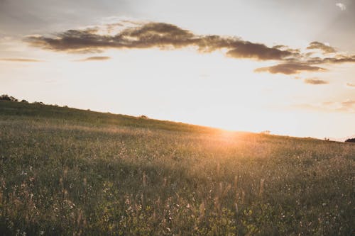 Free stock photo of cloud, clouds, dark clouds