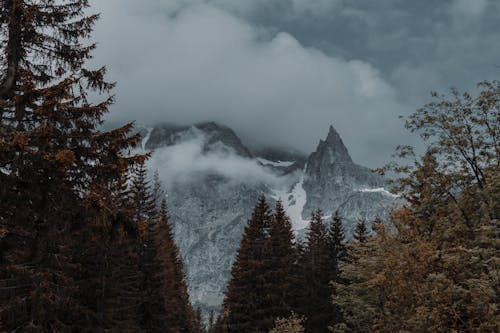 View of Rocky Mountains