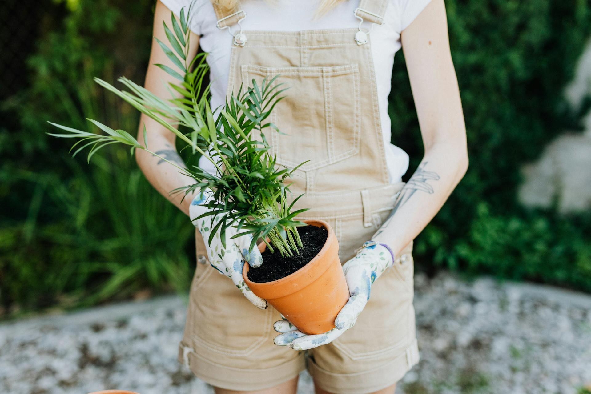 A woman holding a potted plant, wearing gloves and overalls in a garden setting.