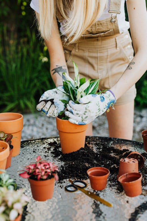 Woman Putting Plants On Pots