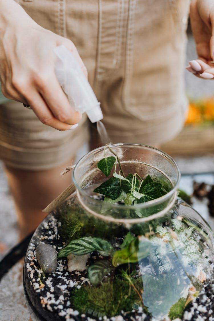 Person Watering The Plant