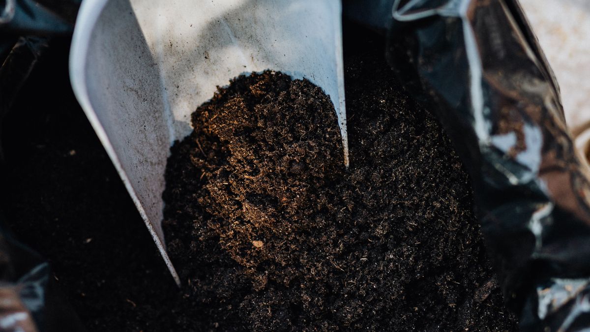 Aménager un coin jardin potager en permaculture en 2026 - illustration