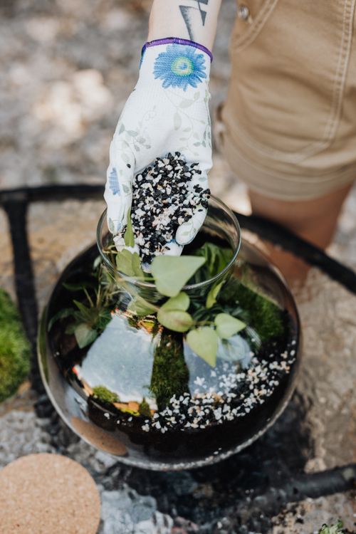 Free Hand in gloves adding stones to a DIY glass terrarium. Stock Photo