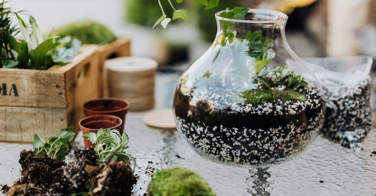 Les meilleures idées cadeaux pour un papa passionné de jardinage