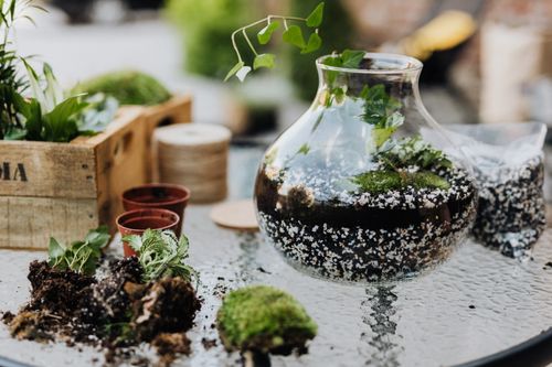 Free A vibrant DIY terrarium project with plants and soil showcased on a patio table, ideal for home gardening enthusiasts. Stock Photo