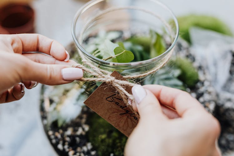 Person Tying A Bow On Terrarium