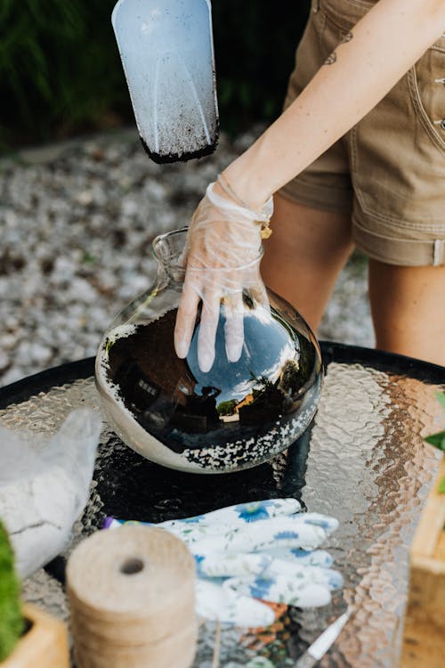 Fotobanka s bezplatnými fotkami na tému čisté sklo, DIY, pôda