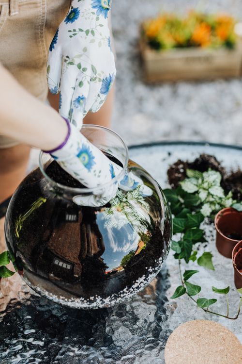 Free Hands in gloves creating a terrarium on a glass table outdoors. Stock Photo
